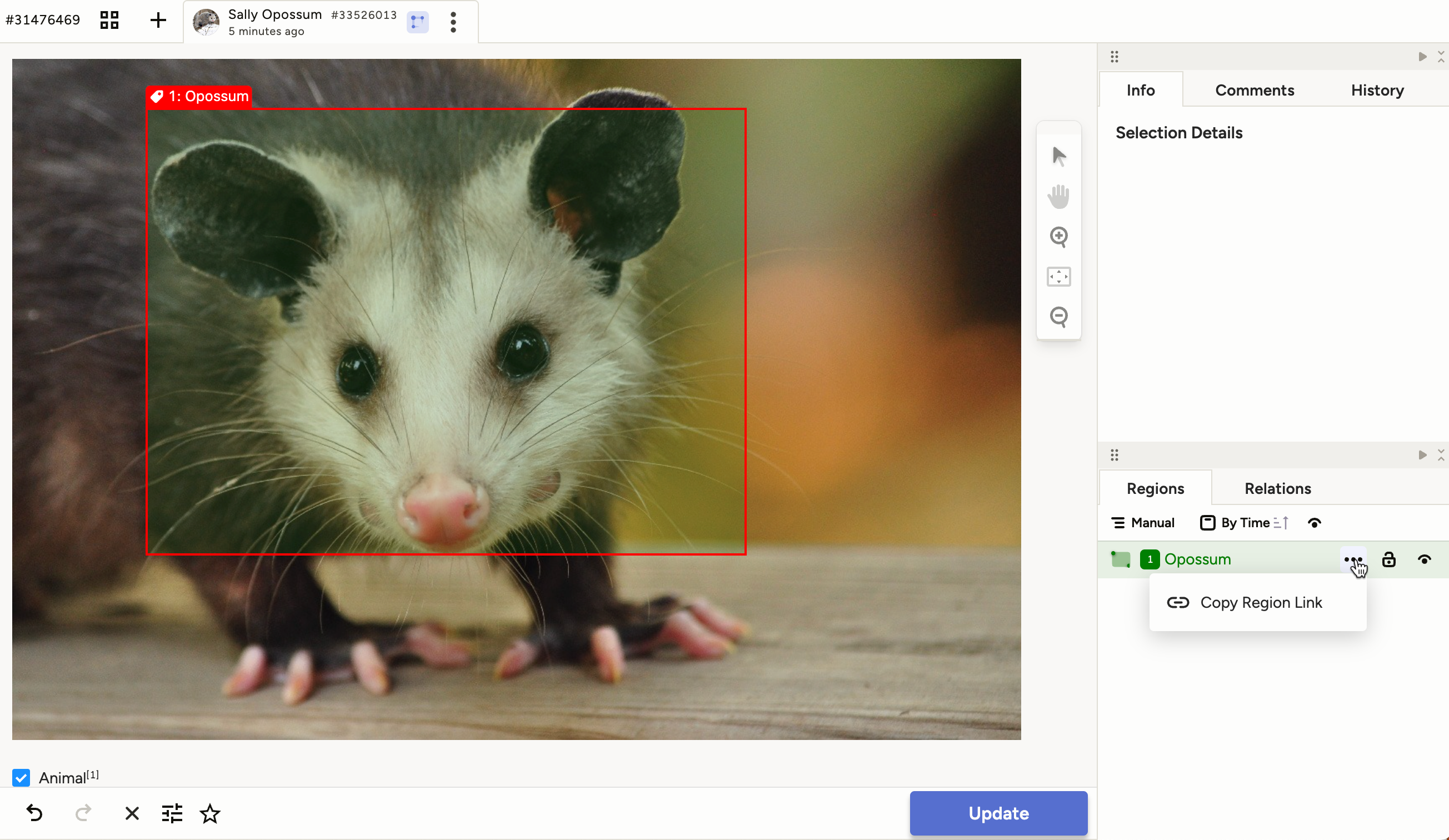 Screenshot of linking region